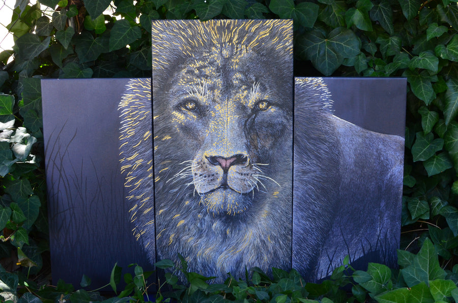 This is a fine 3 panel canvas print of La Mirada is embellished with REAL 45 karat gold in order to deliver an eye popping flare to my favorite animal portrait. I absolutely love what the gold does to the depth of this piece of art.   Canvas sizes, left to right, 12"x24"  15"x30"  12"x24